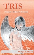 Cover: Tris 3 - Hide & Go Seek - Strategic Book Publishing