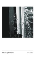 Cover: Reaching for Light - Carrie Hill Creative