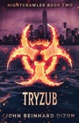 Cover: Tryzub - Next Chapter