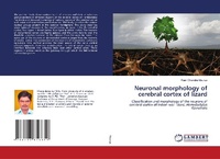 Abbildung von: Neuronal morphology of cerebral cortex of lizard - LAP Lambert Academic Publishing