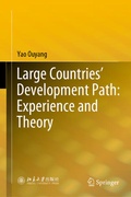 Cover: Large Countries' Development Path: Experience and Theory - Springer