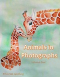 Cover: Animals in Photographs - Wild Animal Press