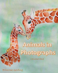Enlarge image Cover: Animals in Photographs - Wild Animal Press