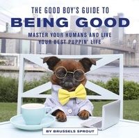 Abbildung von: The Good Boy's Guide to Being Good - White Lion Publishing