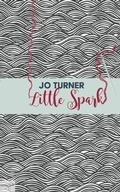 Cover: Little Spark - Writesideleft