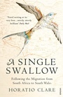 Cover: A Single Swallow - Vintage