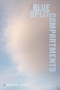 Cover: The Blue Split Compartments - Wesleyan University Press