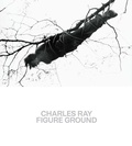 Cover: Charles Ray - Metropolitan Museum of Art