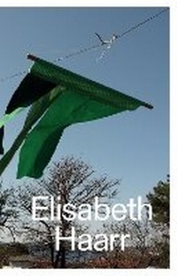 Enlarge image Cover: Elisabeth Haarr - Sternberg Press