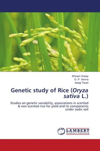 Enlarge image Cover: Genetic study of Rice (Oryza sativa L.) - LAP Lambert Academic Publishing