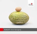 Cover: Position R9 - Florian Toperngpong - Stadt Regensburg