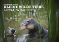 Cover: Kleine wilde Tiere - Rauert & Rauert - Christiane Rauert