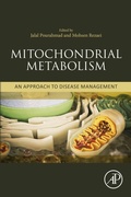 Bild: Mitochondrial Metabolism - Academic Press