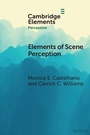 Cover: Elements of Scene Perception - Cambridge University Press