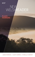 Cover: New Welsh Reader 127 (New Welsh Review autumn 2021) - New Welsh Rarebyte