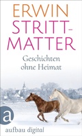 Cover: Geschichten ohne Heimat - Aufbau