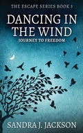 Cover: Dancing In The Wind - Next Chapter