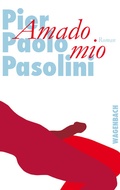 Cover: Amado mio - Wagenbach