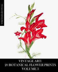 Abbildung von: Vintage Art - Blurb