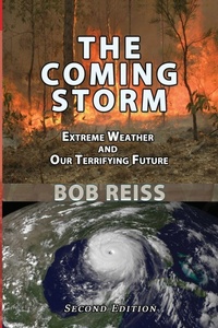 Abbildung von: The Coming Storm - Quid Pro, LLC