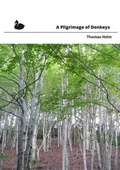Cover: A A Pilgrimage of Donkeys - Beir Bua Press
