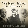 Cover: The New Negro - Dreamscape Media