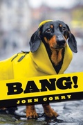 Cover: Bang! - iUniverse