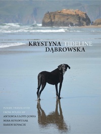 Enlarge image Cover: Tideline - Zephyr Press