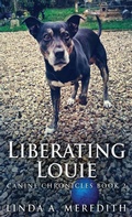 Cover: Liberating Louie - Next Chapter