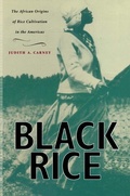 Cover: Black Rice - Harvard University Press