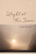 Cover: Light at the Seam - Louisiana State University Press