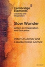 Cover: Slow Wonder - Cambridge University Press