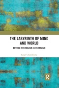 Cover: The Labyrinth of Mind and World - Routledge India