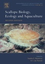 Bild: Scallops - Elsevier