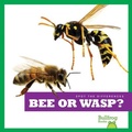 Cover: Bee or Wasp? - Bullfrog Books