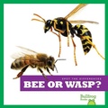 Cover: Bee or Wasp? - Bullfrog Books