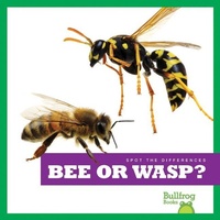 Enlarge image Cover: Bee or Wasp? - Bullfrog Books