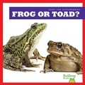 Cover: Frog or Toad? - Bullfrog Books