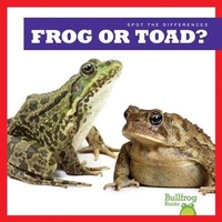 Enlarge image Cover: Frog or Toad? - Bullfrog Books