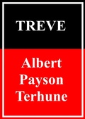 Cover: Treve - Books on Demand