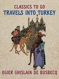 Abbildung von: Travels into Turkey - OTB eBook publishing