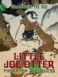 Cover: Little Joe Otter - OTB eBook publishing