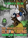 Cover: The Adventures of Old Mr. Toad - OTB eBook publishing