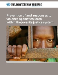 Abbildung von: Prevention of and Responses to Violence Against Children Within the Juvenile Justice System - United Nations