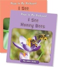 Cover: Bugs in My Backyard (Set) - Cherry Blossom Press