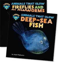 Enlarge image Cover: Lights On! Animals That Glow (Set) - Cherry Lake Publishing