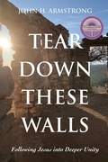 Cover: Tear Down These Walls - Wipf and Stock Publishers