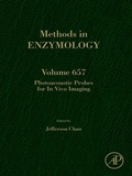Bild: Photoacoustic Probes for In Vivo Imaging - Academic Press