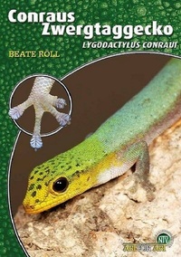 Abbildung von: Conraus Zwergtaggecko - Natur und Tier