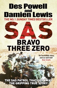 Abbildung von: SAS Bravo Three Zero - Quercus Publishing